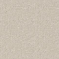 Fabric Asha Taupe Plain Flat