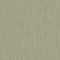 Fabric Zuri Eucalyptus Plain Flat