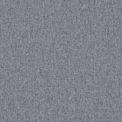 Bisa Denim Woven Fabric