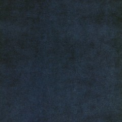 Cosmos Indigo Velvet Fabric