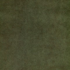 Fabric Cosmos Olive Plain Flat