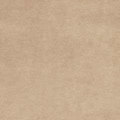 Fabric Cosmos Sand Plain Flat