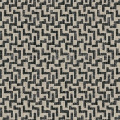 Desta Charcoal Woven Fabric