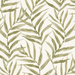 Ki Kale Printed Cotton Fabric