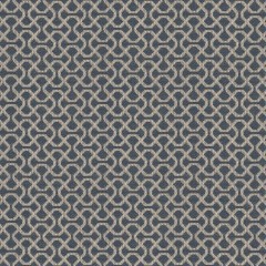 Sabra Indigo Woven Fabric